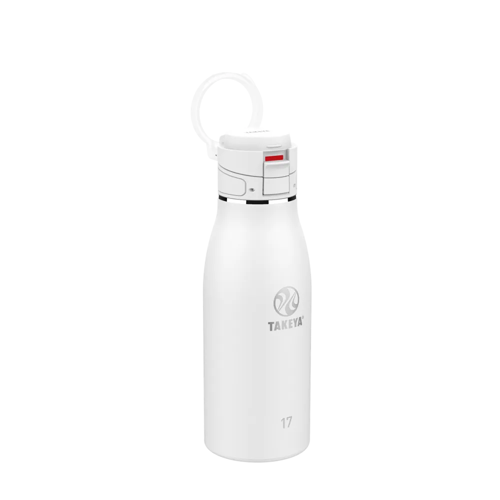 Takeya 17 oz Traveler Insulated Leak Proof Mug With FlipLock Lid
