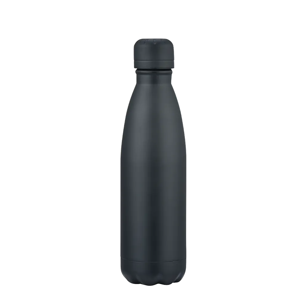Slate 17 oz Vaccuum Bottle