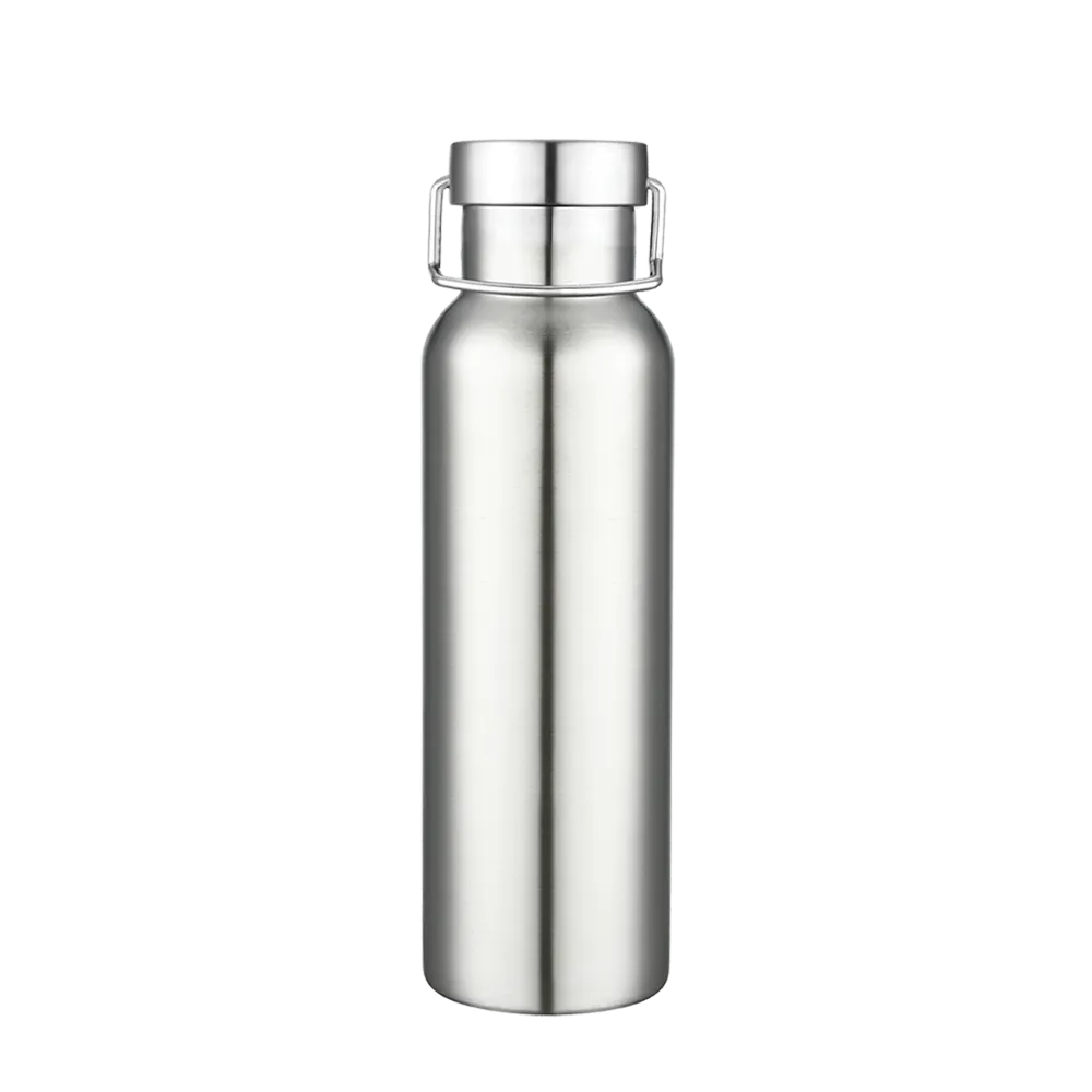 Slate 20 oz Vacuum Bottle