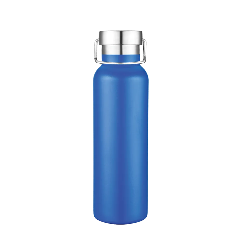 Slate 20 oz Vacuum Bottle