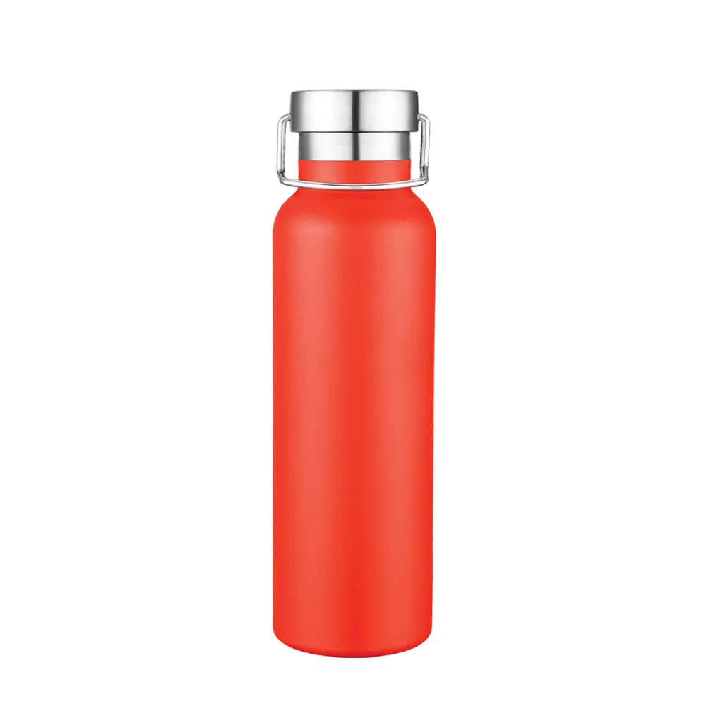 Slate 20 oz Vacuum Bottle