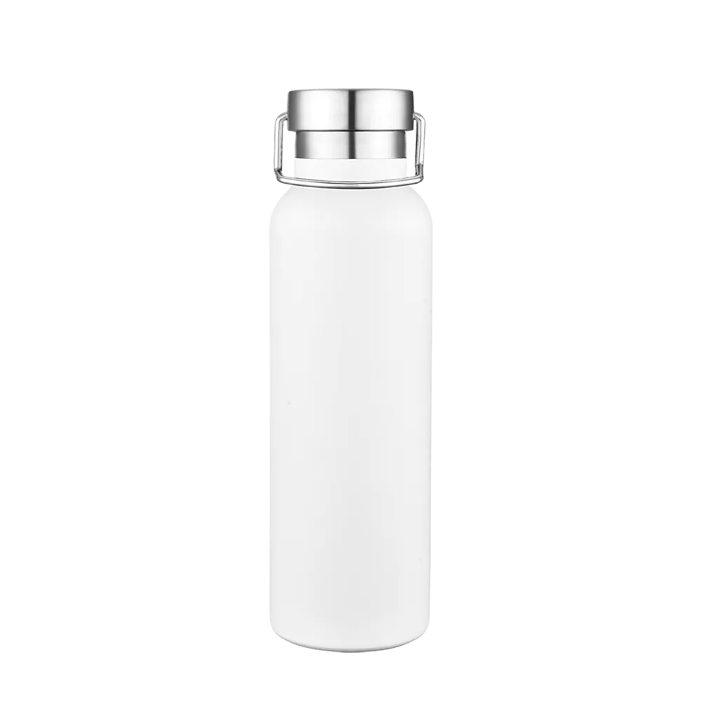 Slate 20 oz Vacuum Bottle