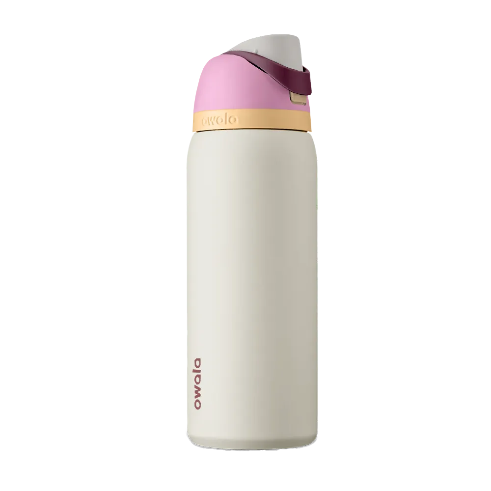 Owala 32 oz Freesip Bottle in Daybreak