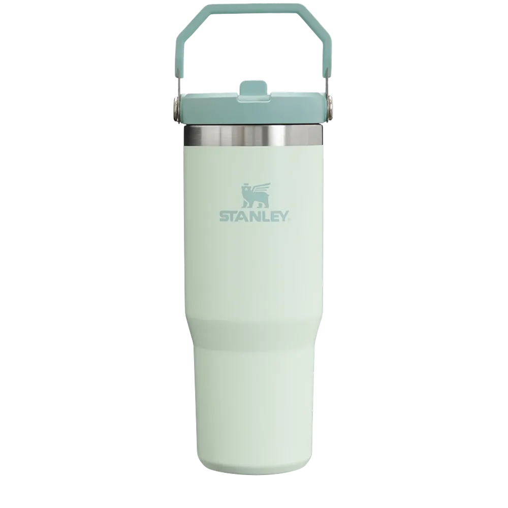 Stanley IceFlow™ Flip Straw Tumbler | 30 oz