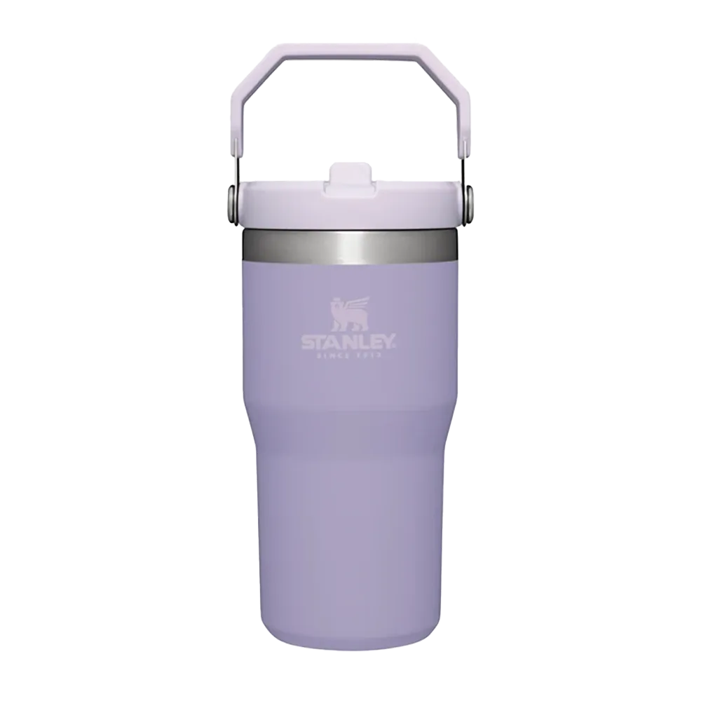 Stanley IceFlow™ Flip Straw Tumbler | 20 oz-Stanley-Diamondback Branding