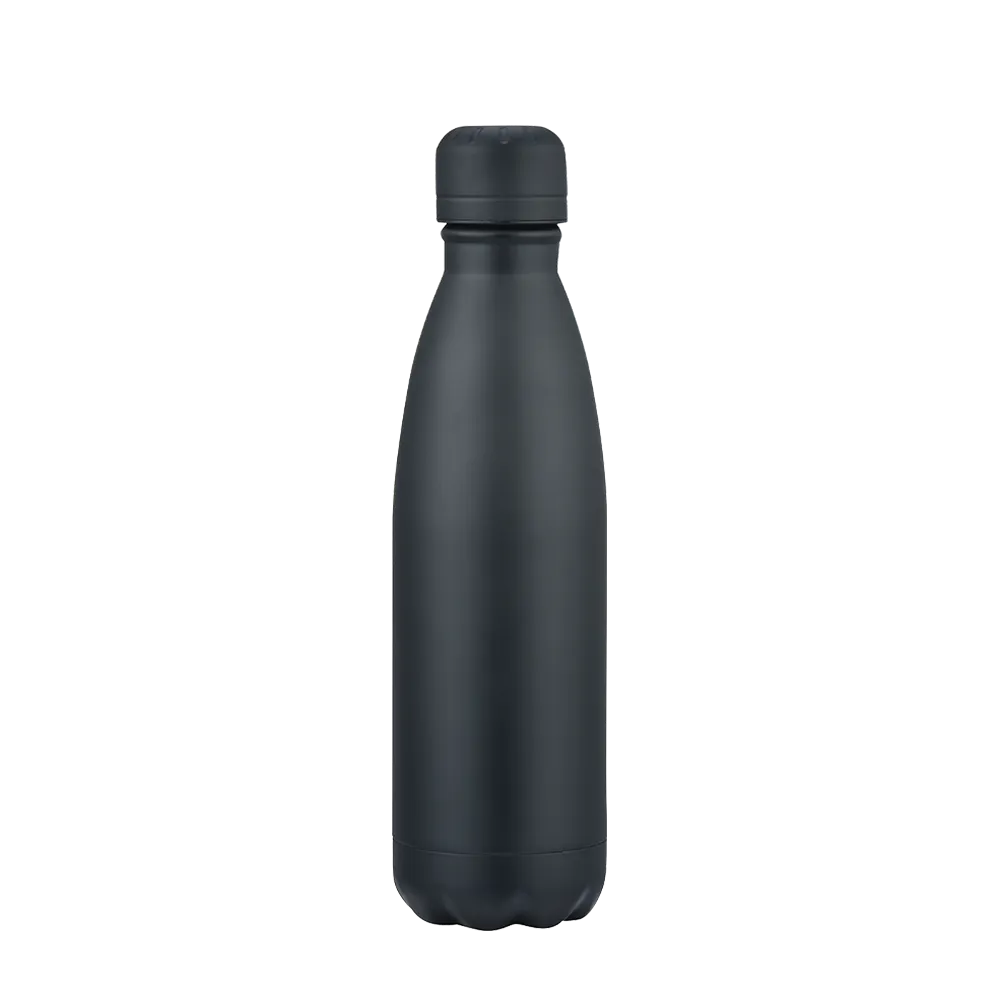 Slate 17oz Vaccuum Bottle