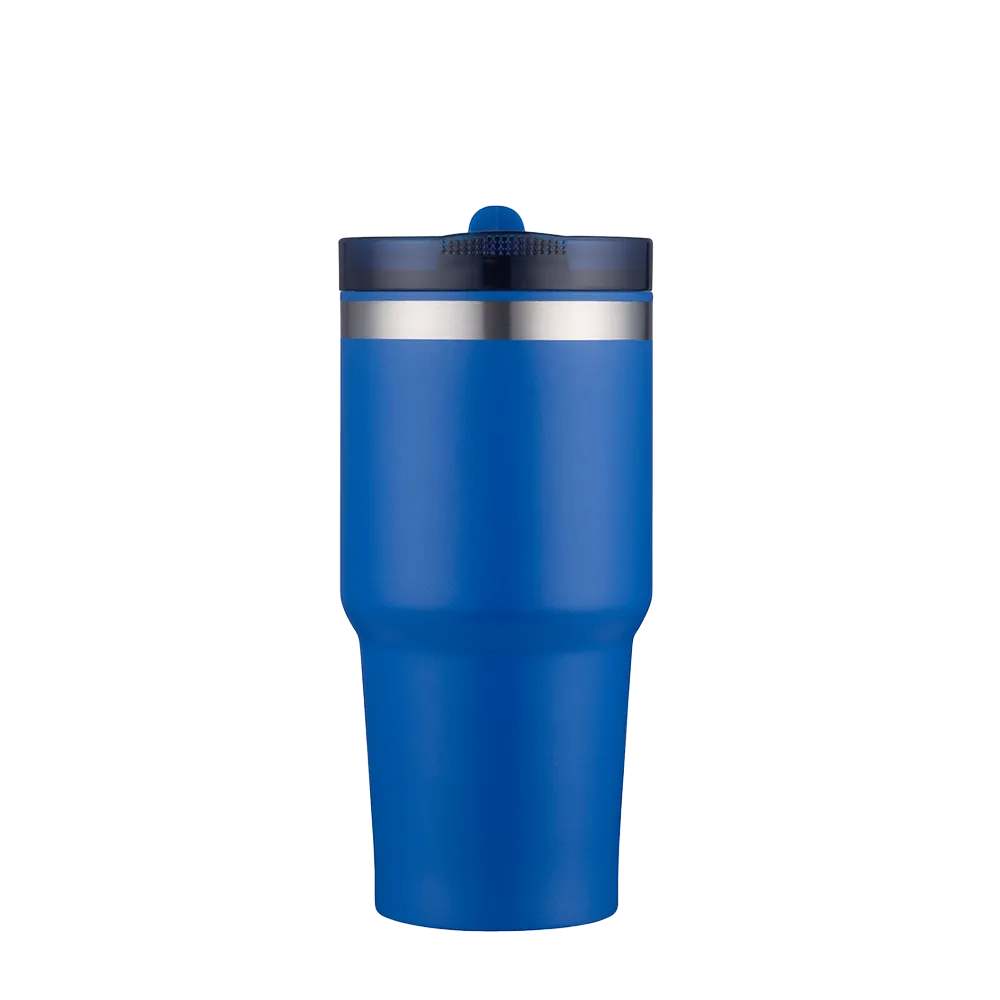 Slate 20 oz Tumbler with Straw Lid